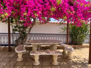 Top Cuevas del Almanzora