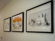 Top Karlova Studánka