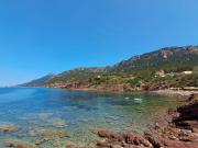 Top Port des Canonge