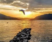 Top Tivat