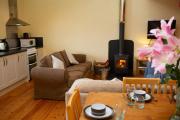 Robins Perch Eco Lodge Apartment Lampeter
