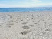 Top Reggio di Calabria