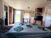 Top Jamielnik Top Jamielnik