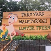 Top Llanfairpwllgwyngyll