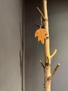 Esclusivo appartamento tra le Dolomiti