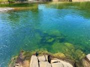 Top Ferr-Shkopet Top Ferr-Shkopet