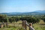Top Portalegre