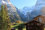 Top Grindelwald
