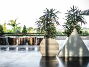 Top Canggu