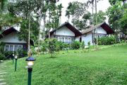 Top Wayanad