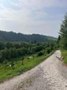 Карпатська Криївка