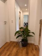 Top Bad Münstereifel