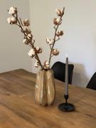 Top Bad Münstereifel