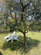 Top Palazzo Vianello