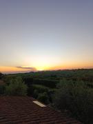 Top Torre Inserraglio