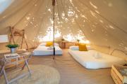 Top Naveces