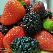 Top Ogliastro Cilento