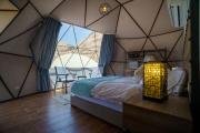 Moon night camp