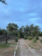 Top Ayía Paraskeví Top Ayía Paraskeví