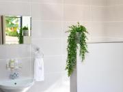 Sage Haven Guesthouse