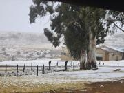 Top Wakkerstroom