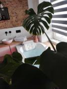 Top Jędrzejów Top Jędrzejów