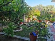 Top Gerakini Top Gerakini