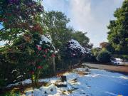 Haenarr Hanok Stay in Mandarin Orchard, 100m from Sea