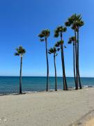 Top Estepona