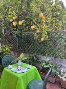 LElisea Maison De Charme