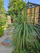 Top Prunelli-di-Fiumorbo