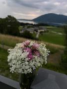 Top Nachdemsee