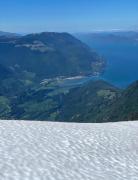 Top Sayward