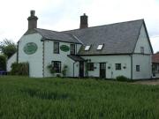 Top Bardwell