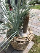 Top St. Peter-Ording