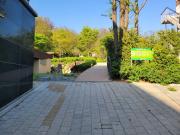 Top Seoul