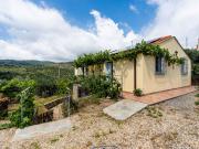 Top Civezza Top Civezza