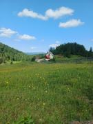 Pensiunea Poarta Lui Ionele