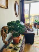 Top Kingston upon Thames