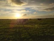 Top Saint-Jouin-Bruneval