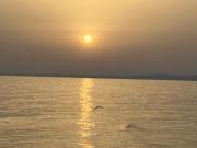 La Scala sul Giardino