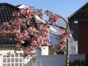 8 person holiday home in LARVIG