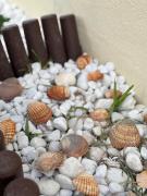 Top Conil de la Frontera