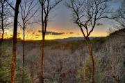 Top Ellijay