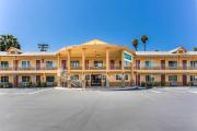Top Escondido