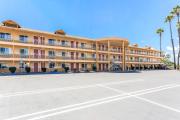 Top Escondido