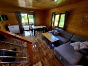 Top Brzozie Top Brzozie