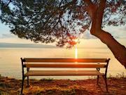 Stara Gavza 14 Stara Gavza 14