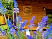 Top Rydzewo Top Rydzewo