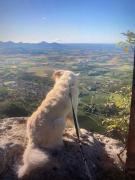 La casa delle salamandre